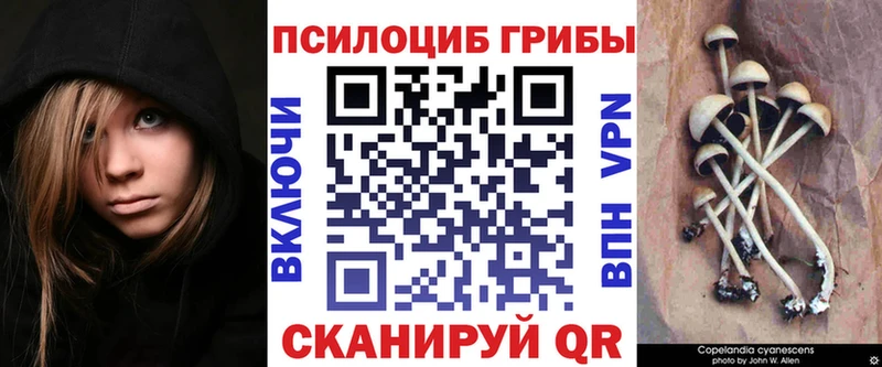 Галлюциногенные грибы GOLDEN TEACHER  наркотики  Далматово 